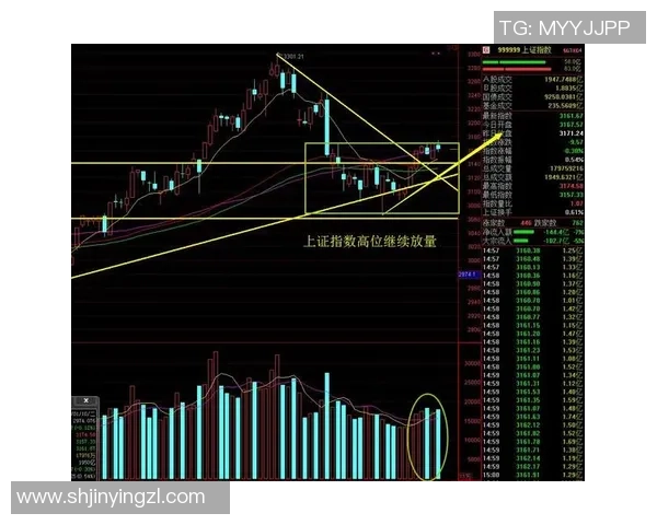 武汉羽毛球队与成都羽毛球队赛后复盘分析比赛节奏与战术对比