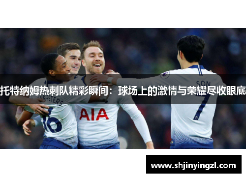 托特纳姆热刺队精彩瞬间：球场上的激情与荣耀尽收眼底