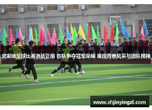 武家坡足球比赛激战正酣 各队争夺冠军荣耀 展现青春风采与团队精神